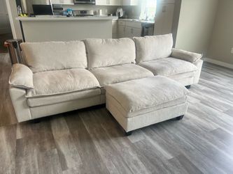 6 month old sofa