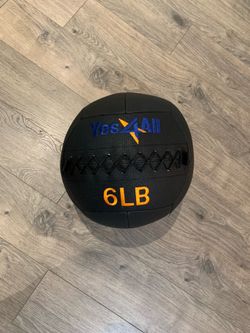 6lb Leather Wall Ball