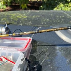 fenwick EAGLE Rod And Reel (Trout Master TM20C) 