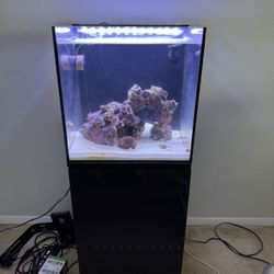 25 Gallons Salt Water Fish Tank