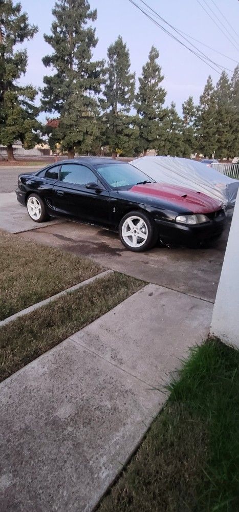 Mustang Cobra Part Out