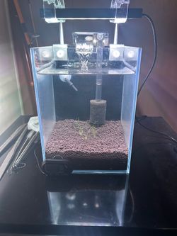 1.5 gallon nano tank