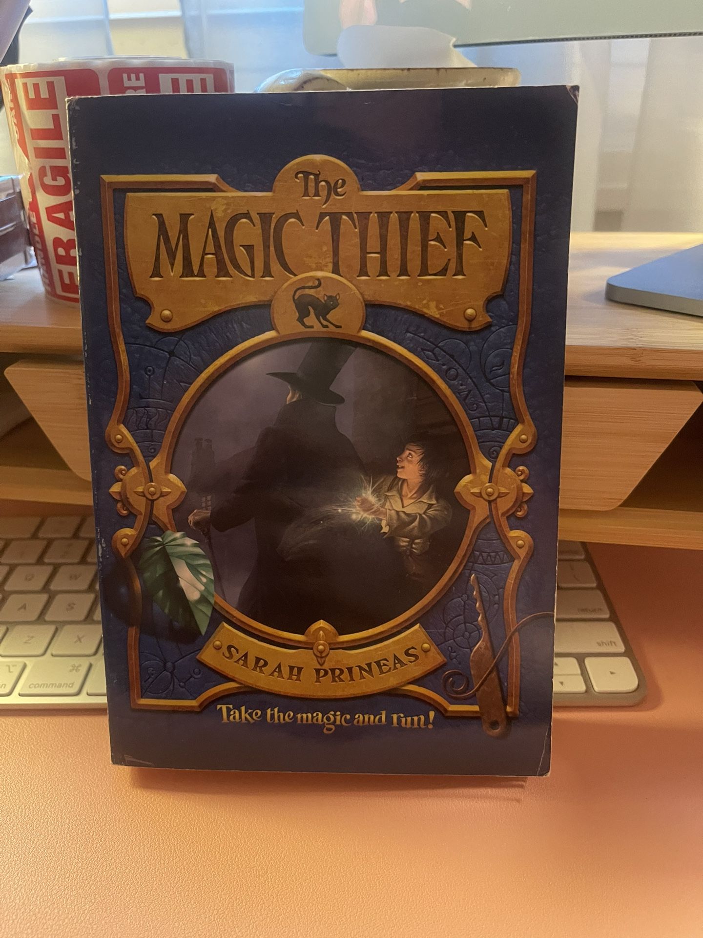 The Magic Theif By Sarah Prineas