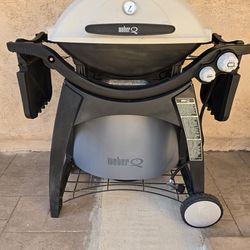 Weber q300