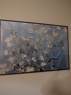 Framed Nature Poster
