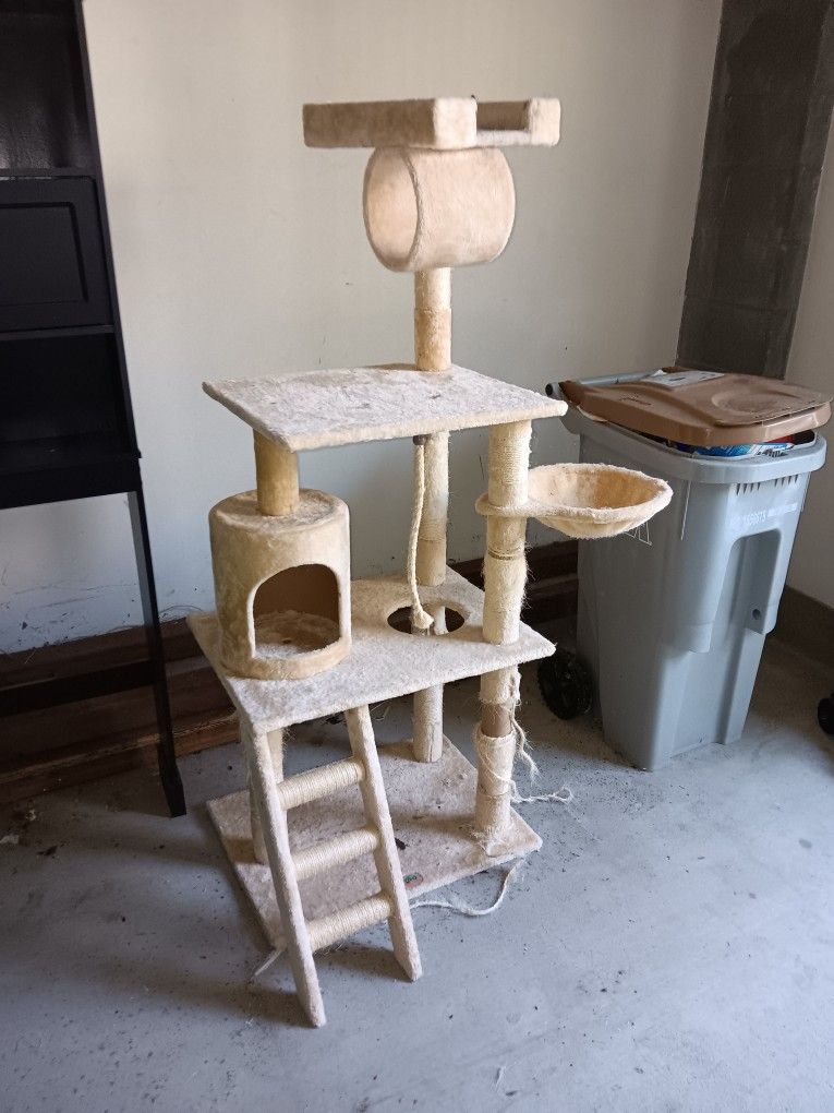 Cat Play Tree
