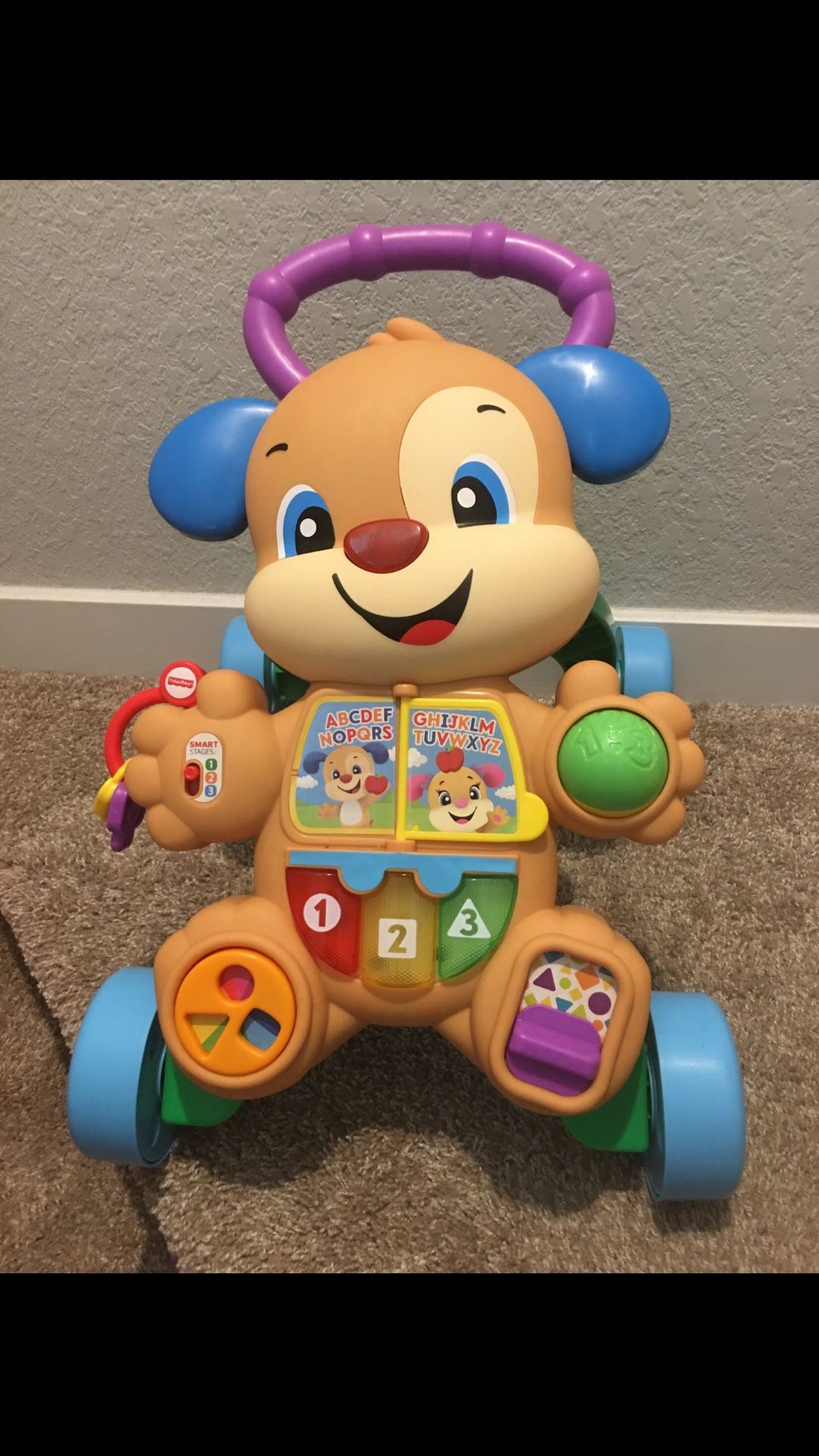 Fisher Price Puppy Walker (lights up & makes noise)