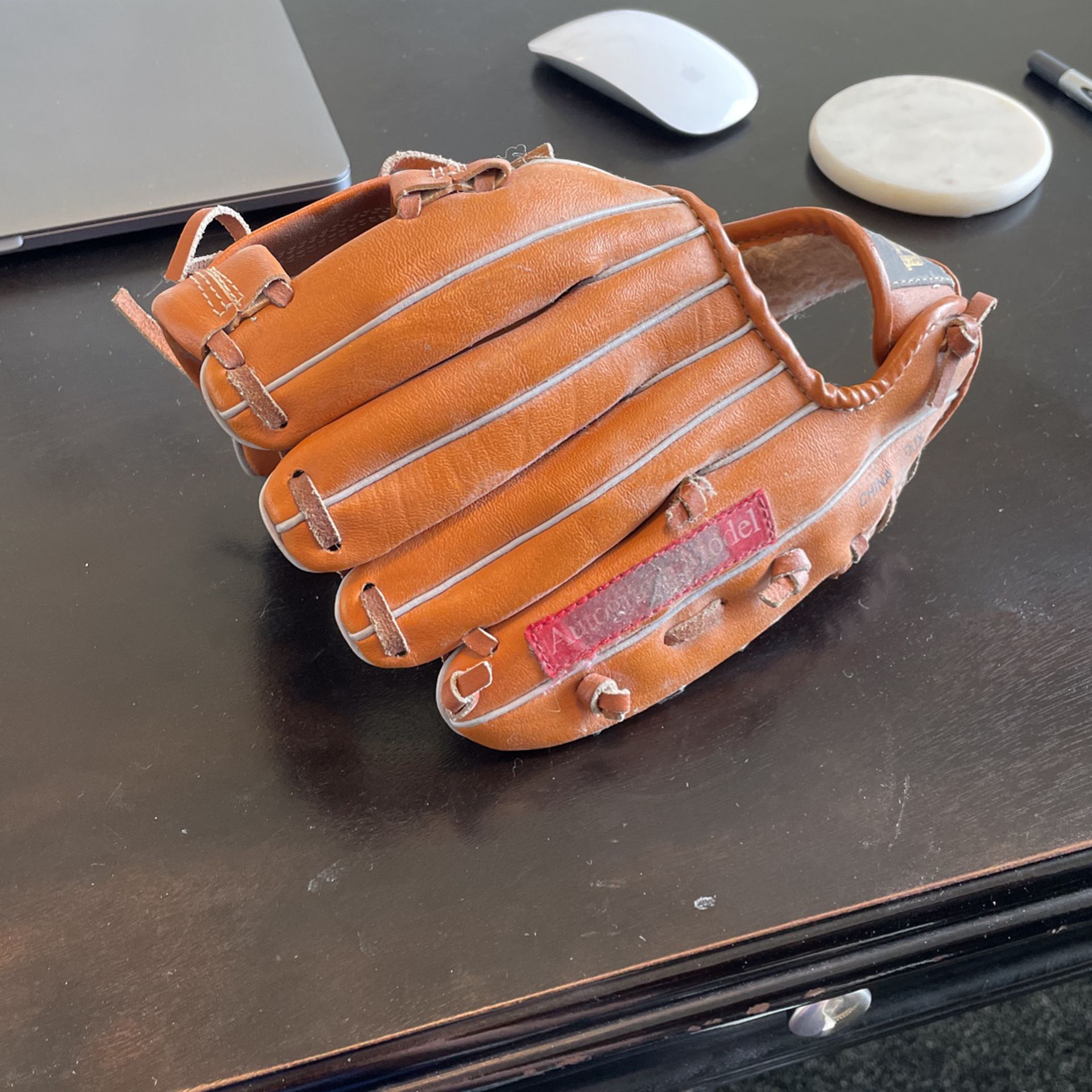 Wilson Youth Baseball Glove 