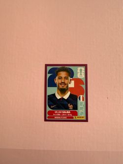 panini world cup sticker