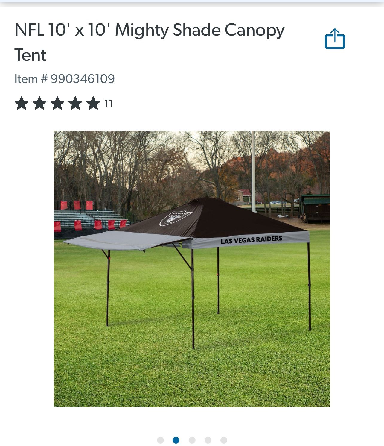 Raiders Canopy