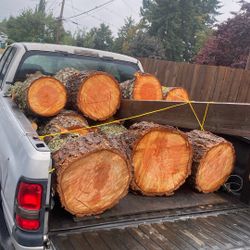 Firewood
