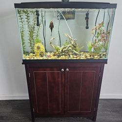 30gallon Fish Tank With Stand