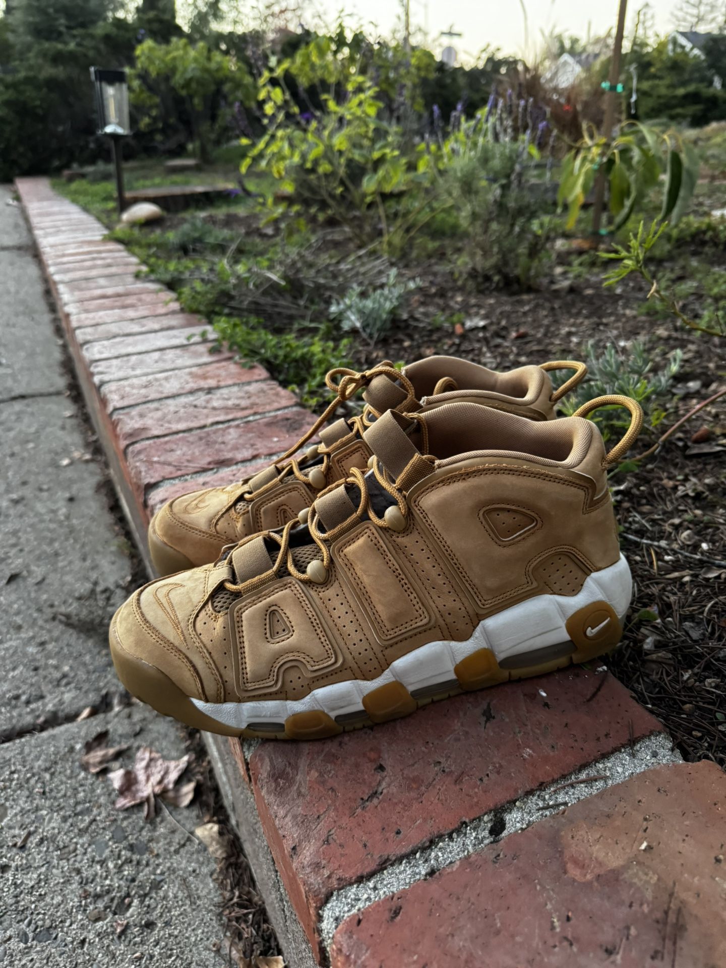 Nike Air more Uptempo Wheat
