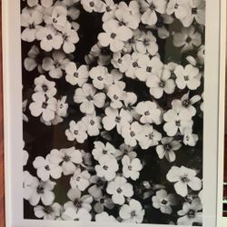 Black And White Flower Picture Decor 
