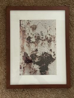 Matted Framed Print - 12x14