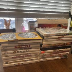 Wii Games And Accessories 