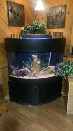 100 Gallon Corner Bow Front Aquarium