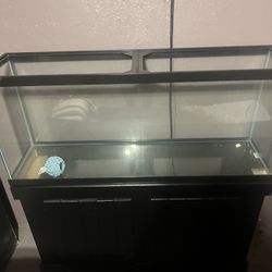 Fish Tank