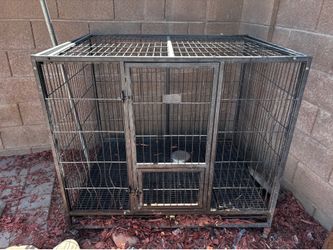 Kennel
