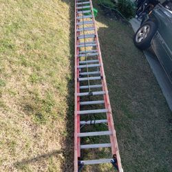 40 Ft Ladder