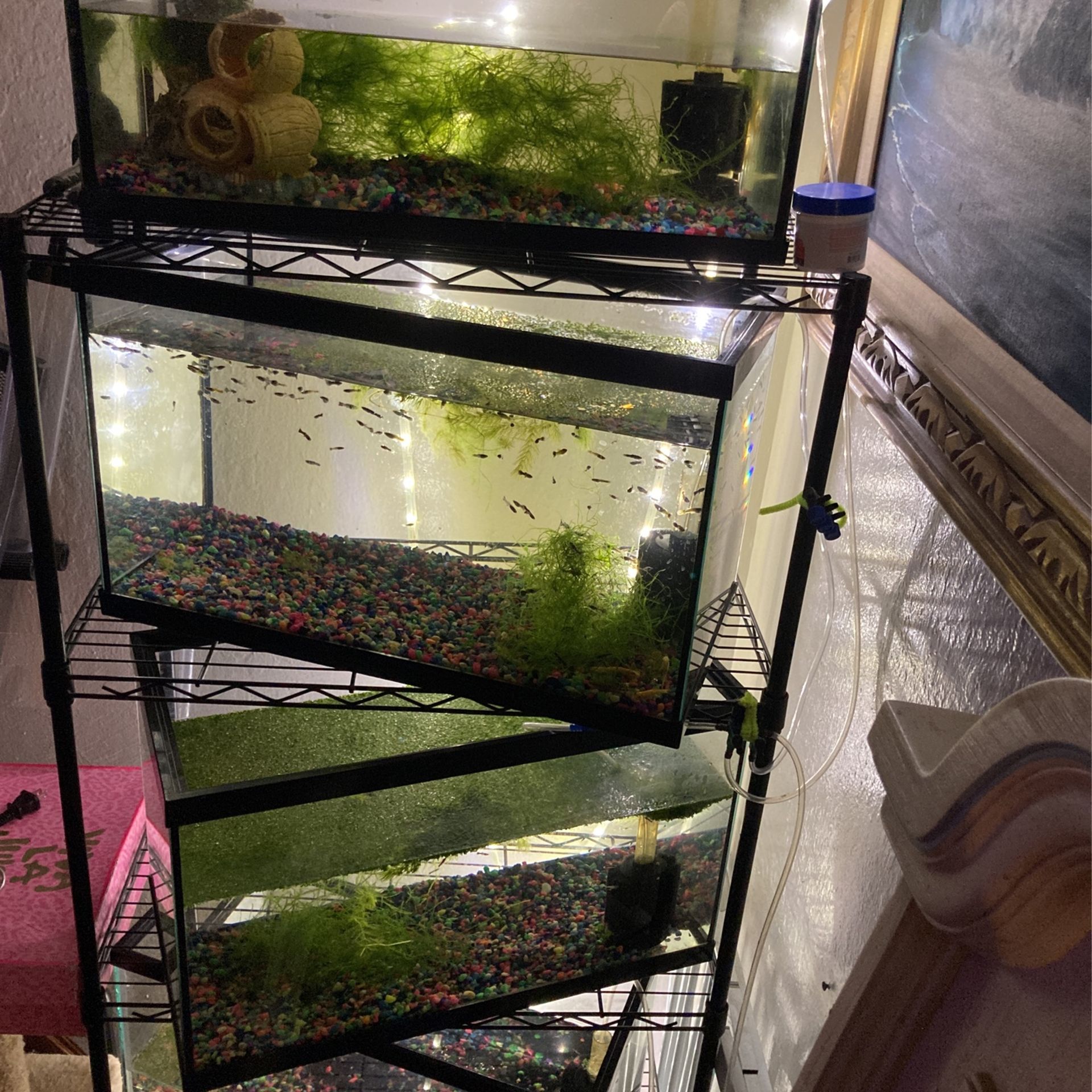 10 Gal Aquarium For Sale ( No Fish)