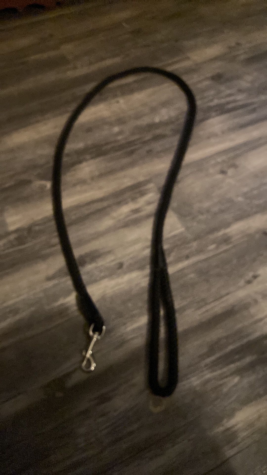 Dog Leash