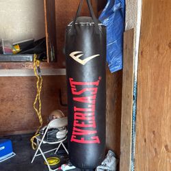Everlast Punching Bag