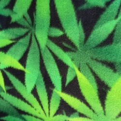 Fleece Blanket 