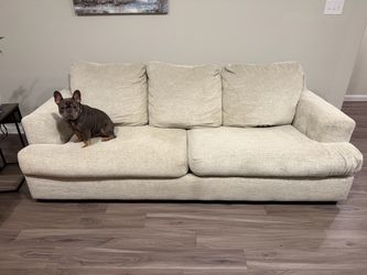 Sleeper Sofa