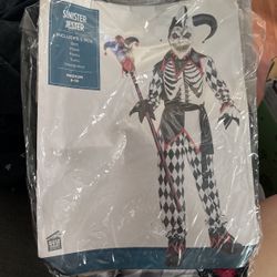 Jester - Kids costume