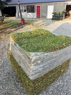 Free sod quotes