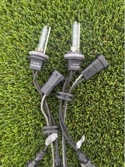 H11 HID Headlights.
