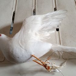 Foam Bird Wire It On To Top Of Curtain Or Something 