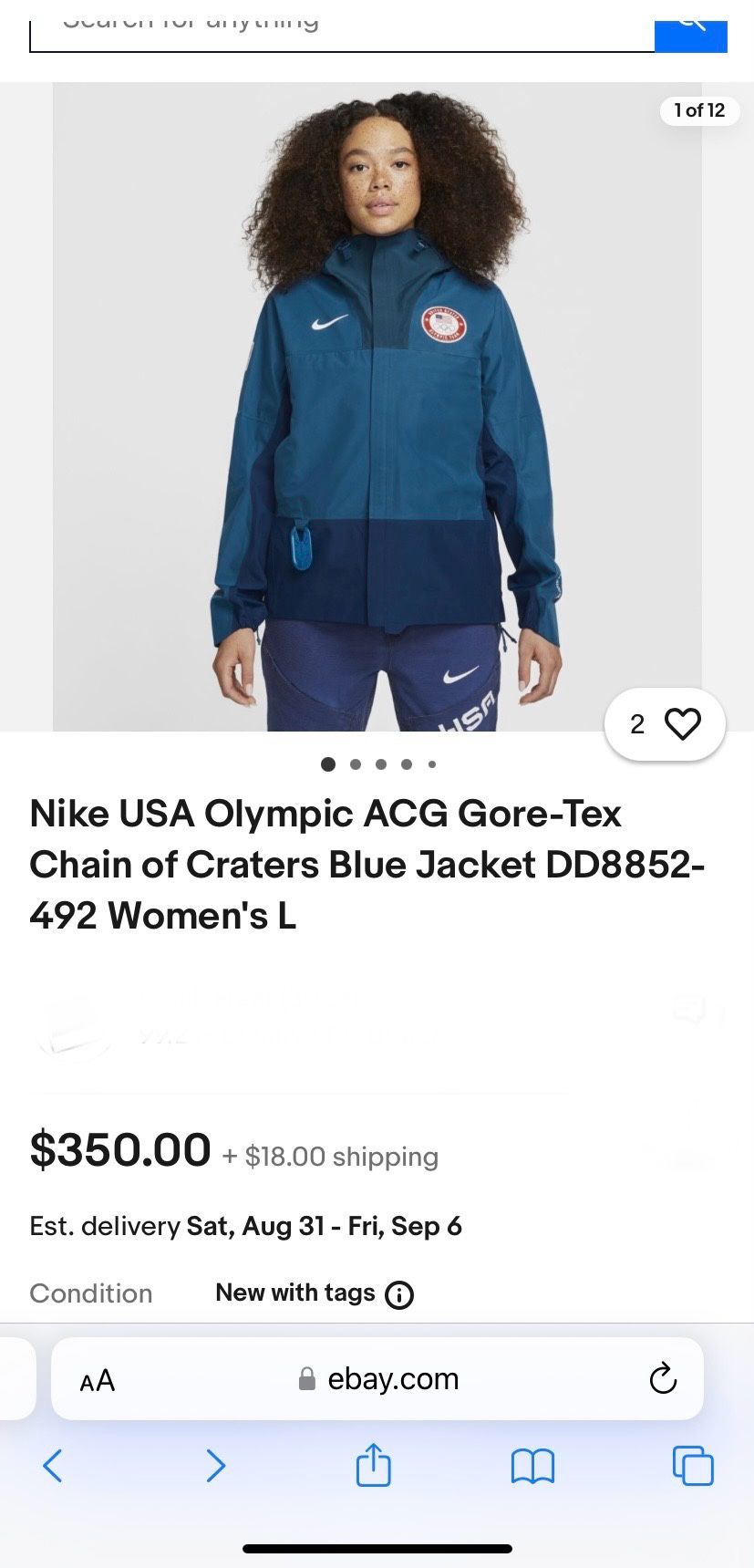 🔥🔥 Nike USA Olympic Team ACG Gore Tex Chain Of Craters Jacket