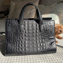 Alexander Wang Pelican Satchel