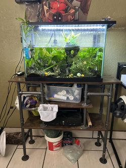 Fish tank/stand