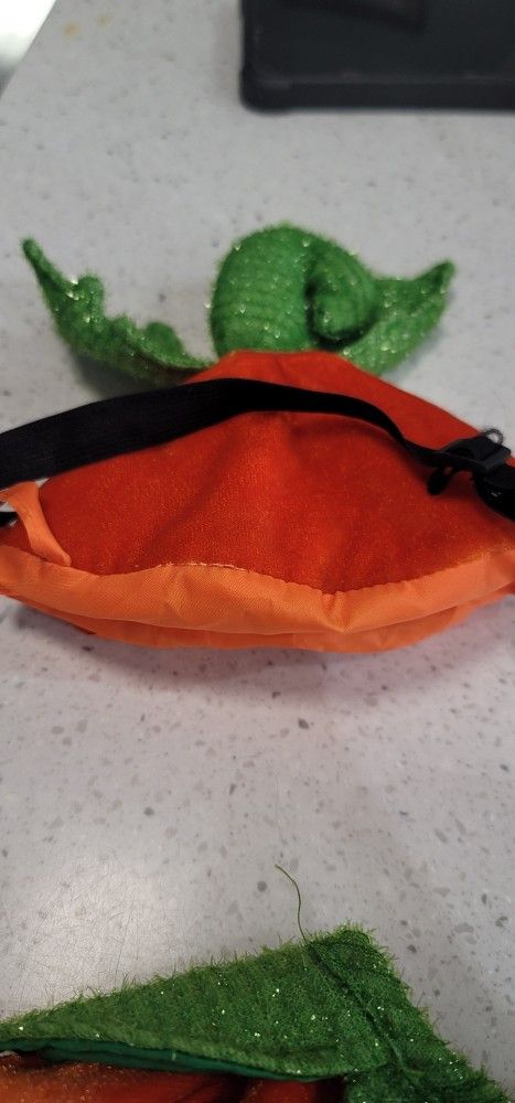 Petco Brand Pumpkin Dog Costume Size M