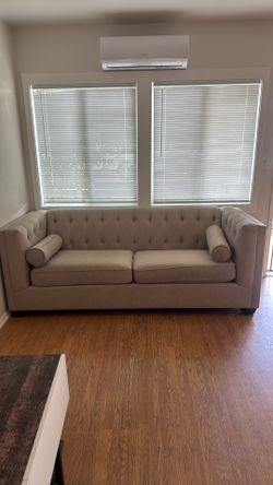 Light gray couch, $30 OBO