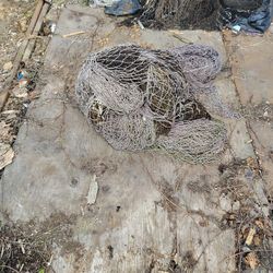 Fishing Net