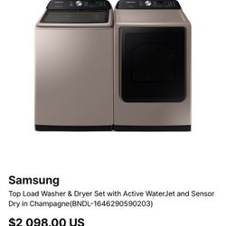 Samsung Washer/ Dryer Set Champagne Color