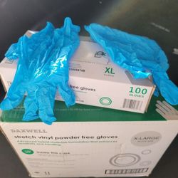 Stretch Vinyl Powder Free Gloves