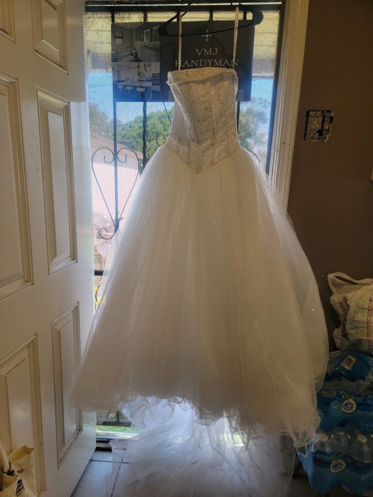 Wedding Or Quinceanera Dress.