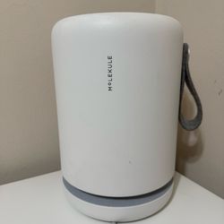 Molekule Air Mini Air Purifier – Works Well