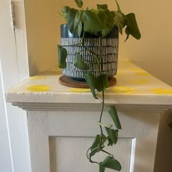 Plants, Pots, & Trivets