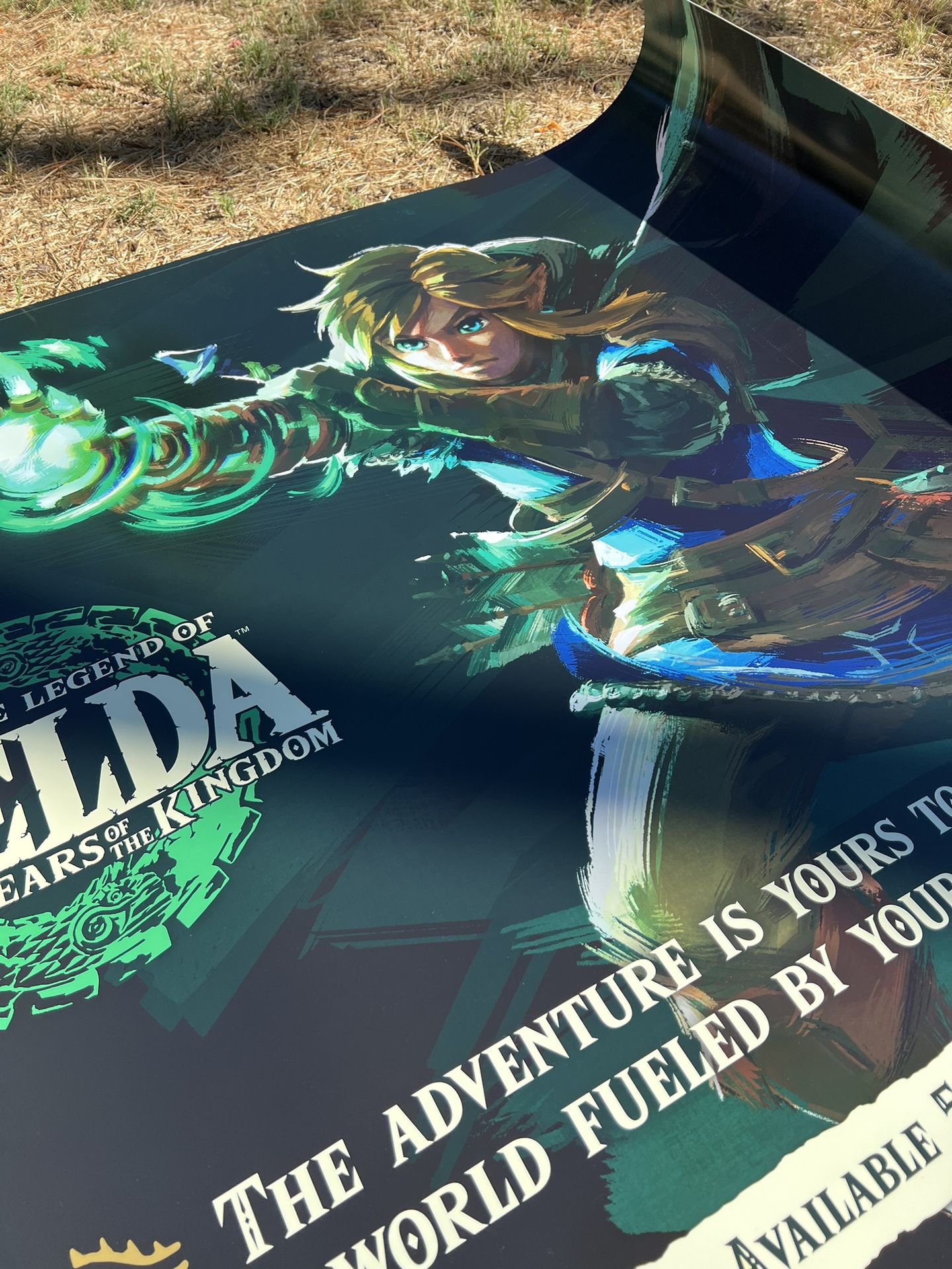 Zelda Tears Of The Kingdom Display Poster