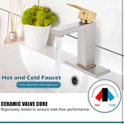 Bathroom Sink Faucet 1 Holes with Supply Hoses and 1 Handles Matte Go&Ni- Bl &br A60 