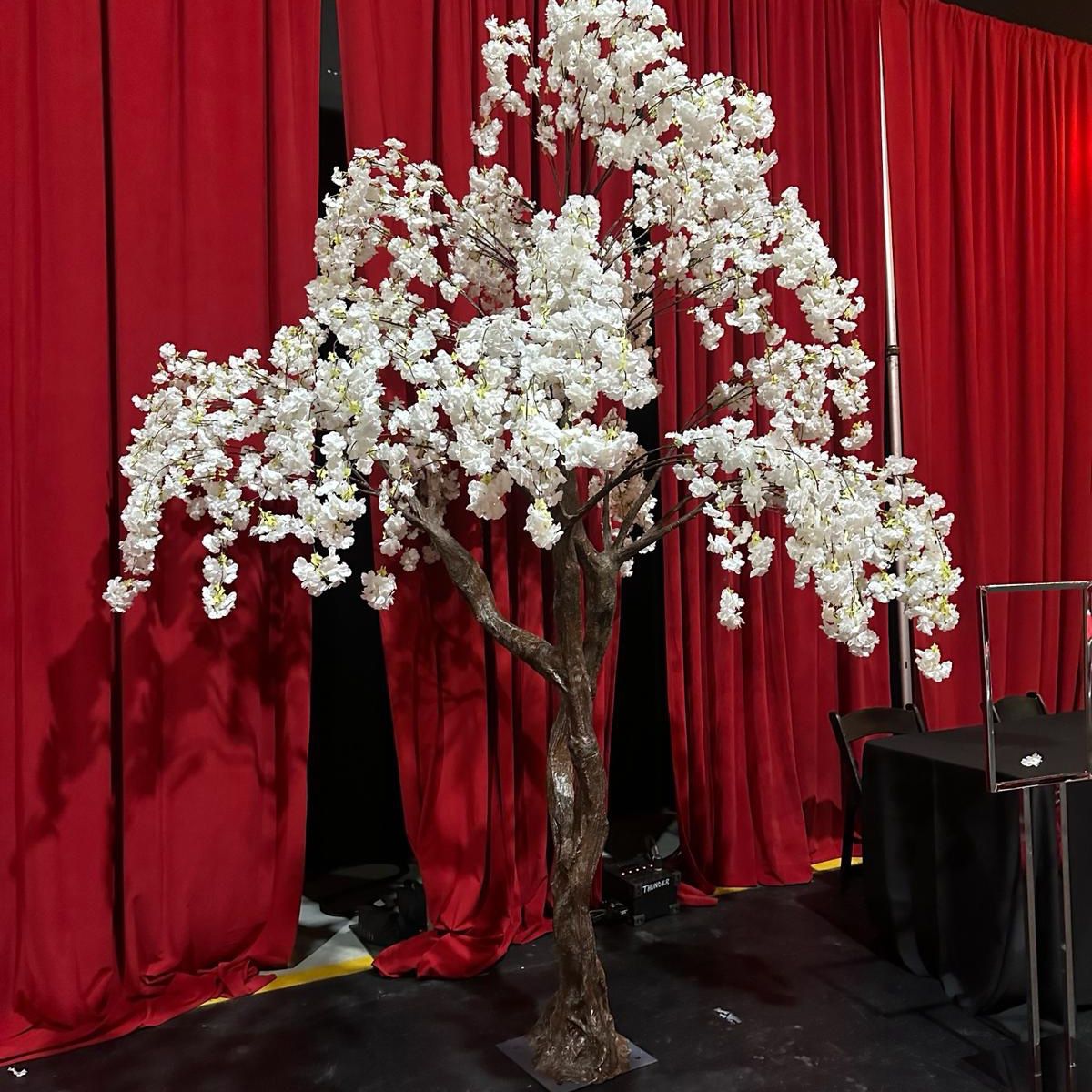 White cherry blossom tree x 4 units the price is for each
