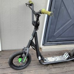 Big Mongoose Scooter