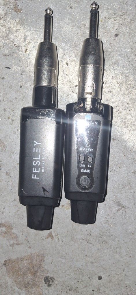 Fesely Wireless Mic