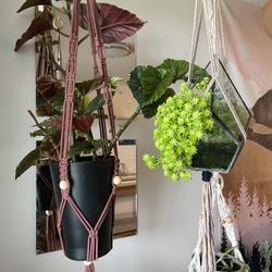 Terrarium And Hanger
